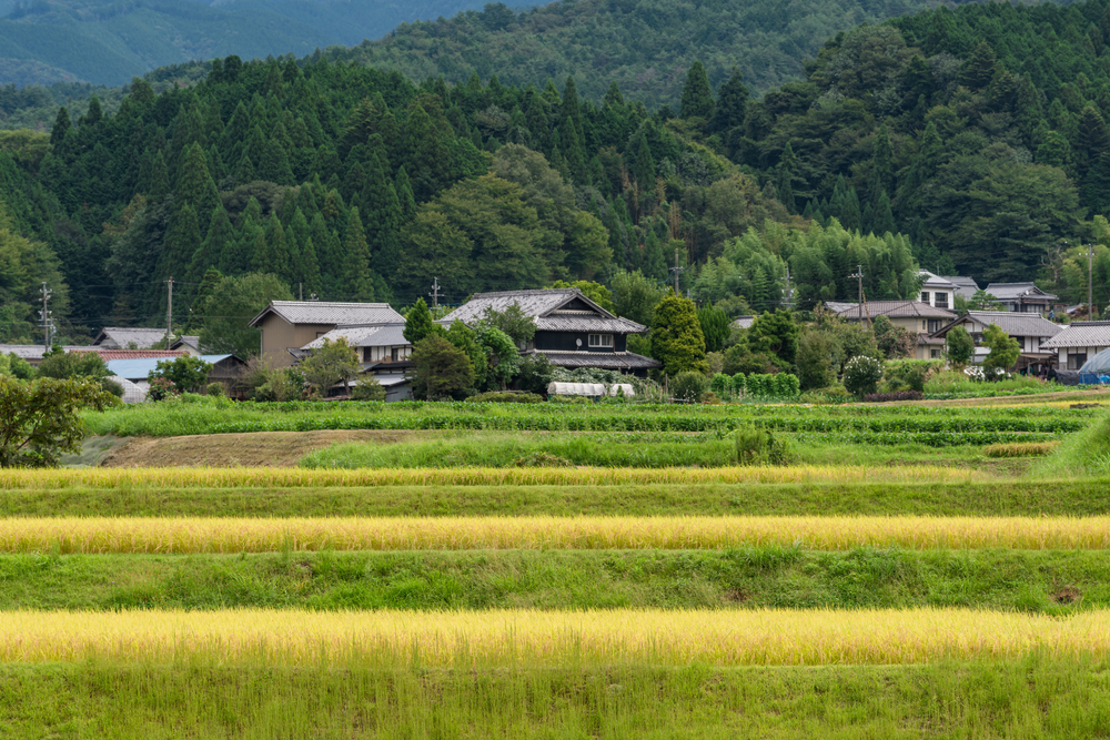 郊外住宅に注目が集まる住宅市場