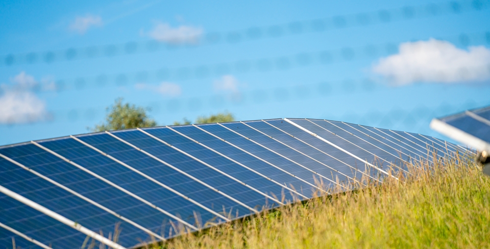 ペロブスカイト太陽電池の価格と市場動向（2025年最新）
