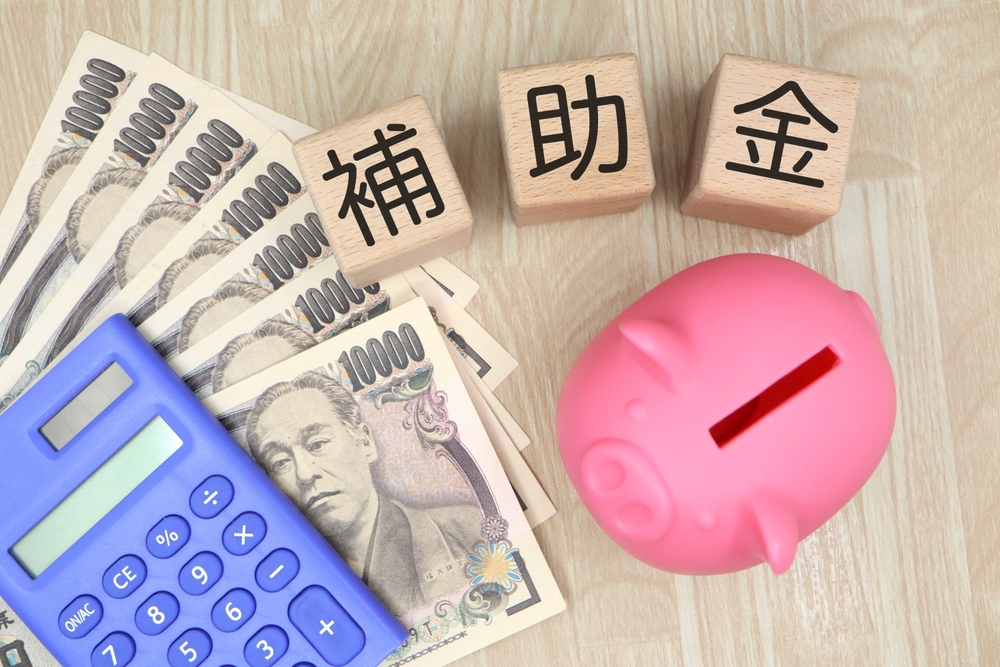 2025年太陽光発電関連の補助金の動向